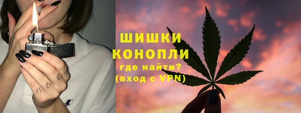 стаф Надым