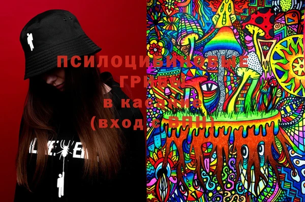 не бодяженный Абаза