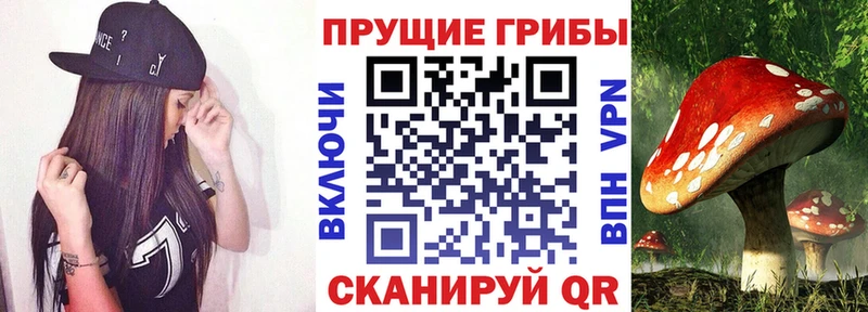 Псилоцибиновые грибы мухоморы  где найти наркотики  Починок 