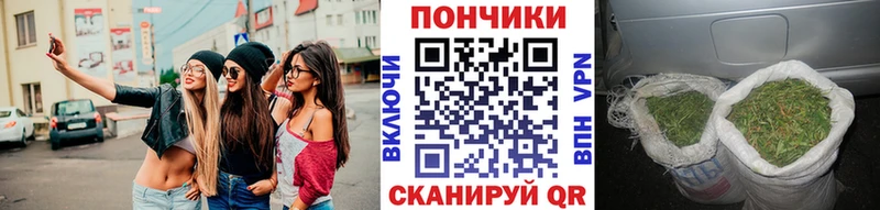 Бошки Шишки ГИДРОПОН Починок